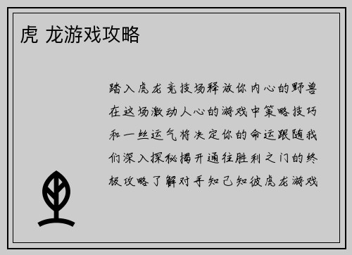 虎 龙游戏攻略